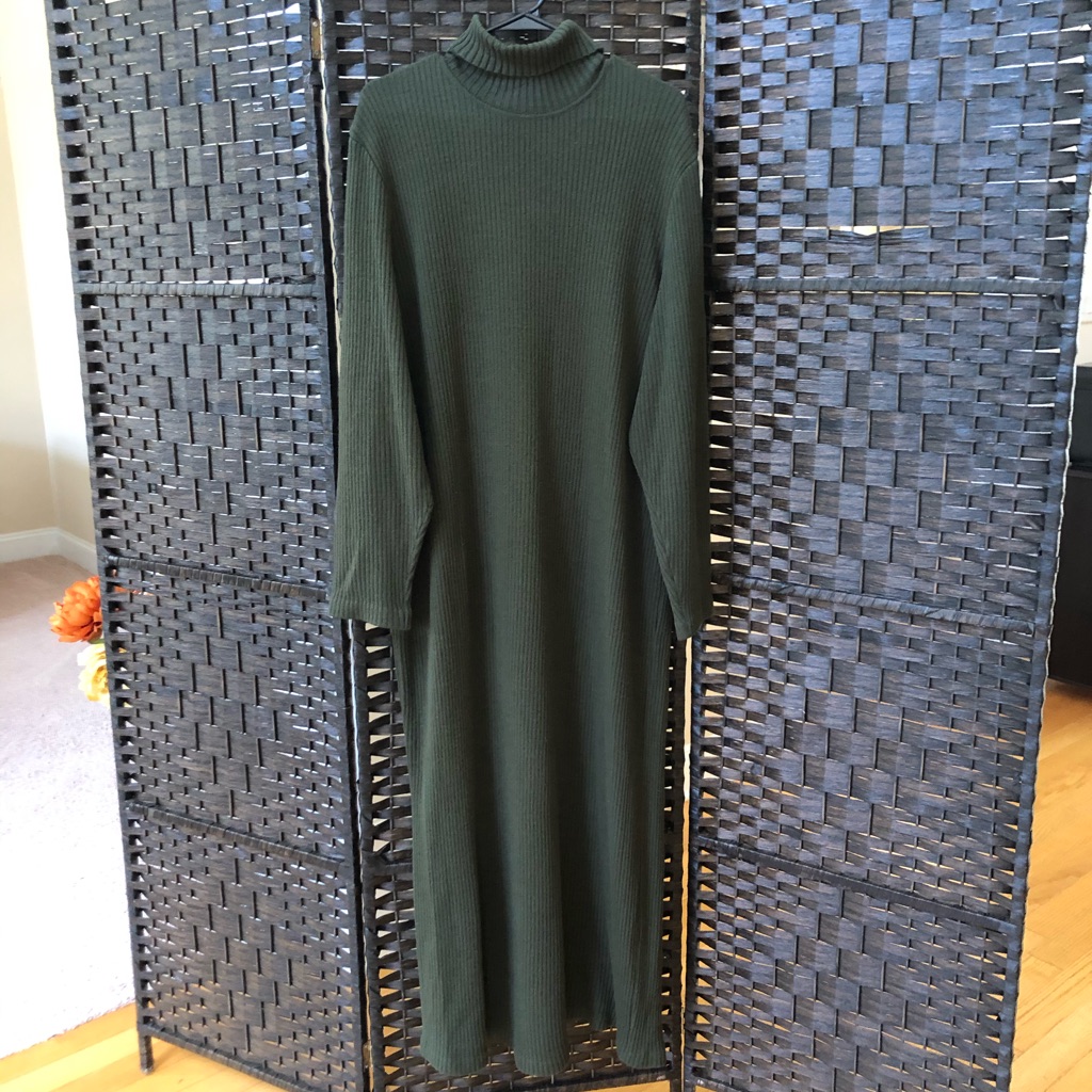 Cozy Cowl Neck Dress